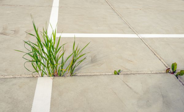 Concrete Parking Installation in Kenner
